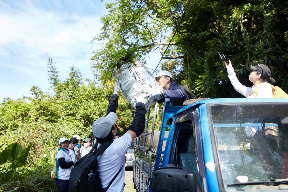 友達串聯志工組成水環境巡守隊，針對霄裡溪沿岸3公里的小花蔓澤蘭，定期進行移除與防治工作